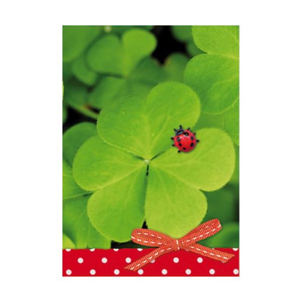 Ohne Text - Blanko - Kleeblatt mit Marienkäfer - Mini-Klammerkarte - Blumenkärtchen mit Klammer