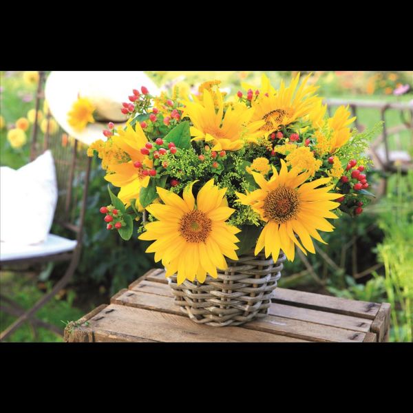 A Ohne Text Glückwunschkarte mit Umschlag Sonnenblumen