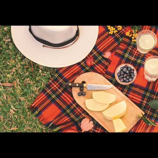 AV Ohne Text Frühjahr Glückwunschkarte mit Umschlag Picknickdecke