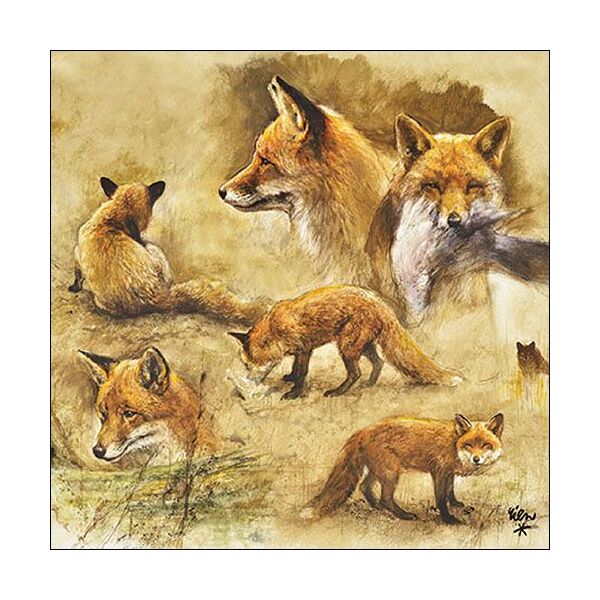 A Servietten Lunch Napkin Lunch Format: 33 x 33 cm 3-lagig 20 Servietten Portraits Of Foxes Füchse