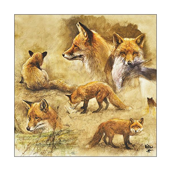 A Servietten Lunch Napkin Lunch Format: 33 x 33 cm 3-lagig 20 Servietten Portraits Of Foxes Füchse