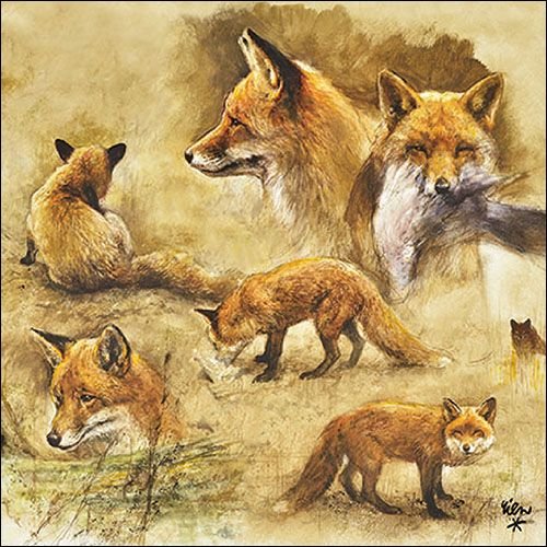 A - Servietten Lunch – Napkin Lunch – Format: 33 x 33 cm – 3-lagig – 20 Servietten pro Packung - Portraits Of Foxes – Füchse