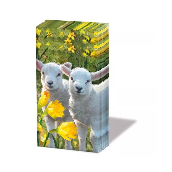 Taschentücher 21,5 x 22 cm 4-lagig á 10 Stück pro Packung Sweet Lambs Süße Lämmer