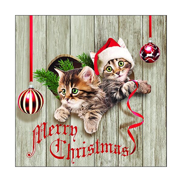 Weihnachten Servietten 33 x 33 cm 3-lagig 20 Servietten Curious Kittens Kitten