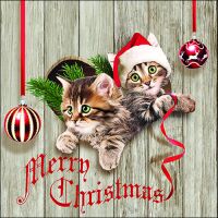 Weihnachten Servietten 33 x 33 cm 3-lagig 20 Servietten...