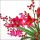A Weihnachten Servietten Format: 33 x 33 cm 3-lagig 20 Servietten Christmas Bouquet White Weihnachtsstrauß