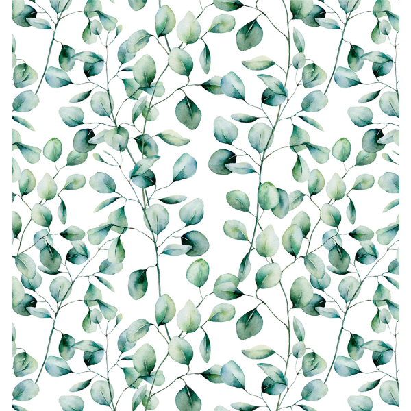 Geschenkpapier Röllchen 70x150 cm Eukalyptus floral weiß-grün