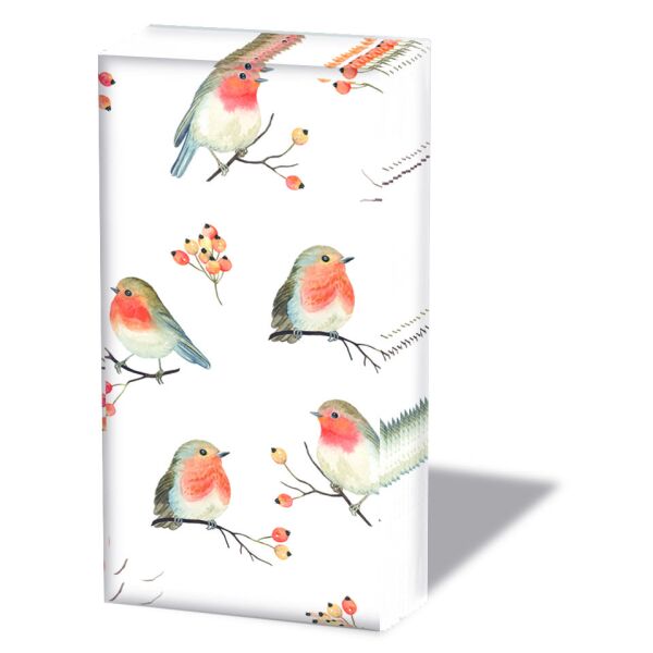 Weihnachten Taschentücher 21,5 x 22 cm 4-lagig á 10 Stück pro Packung Robin Family Rotkehlchen Family