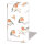 Weihnachten - Taschentücher  21,5 x 22 cm – 4-lagig – á 10 Stück pro Packung – Robin Family – Rotkehlchen Family