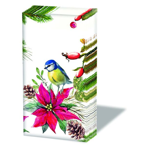 Weihnachten Taschentücher 21,5 x 22 cm 4-lagig 10 Stück pro Packung Bird On Poinsettia Vogel Weihnachtsstern