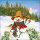 Weihnachten – Servietten Lunch – Napkin Lunch – Format: 33 x 33 cm – 3-lagig – 20 Servietten pro Packung – Snowman & Birds FSC Mix