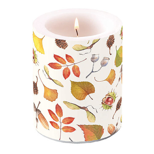 Herbst – Kerze gross – Candle Big – Format: Ø 12 cm x 10 cm – Brenndauer: 75 Std. - 1 Kerze pro Packung - Autumn Details – Herbstdetails