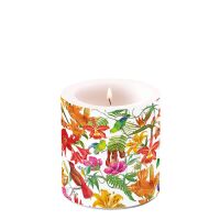 Kerze klein Candle small Format: Ø 7,5 cm x 9 cm 1...