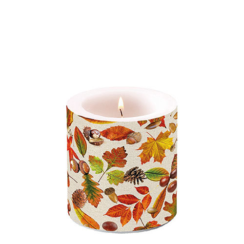 Herbst – Kerze klein – Candle small – Format: Ø 7,5 cm x 9 cm – Brenndauer: 35 Std. - 1 Kerze pro Packung - Autumn Festival – Herbstfest