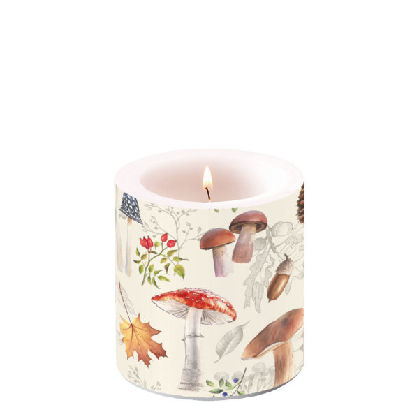 Herbst – Kerze klein – Candle small – Format: Ø 7,5 cm x 9 cm – Brenndauer: 35 Std. - 1 Kerze pro Packung - Autumn Nature – Herbst Natur