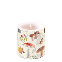 Herbst – Kerze klein – Candle small –...
