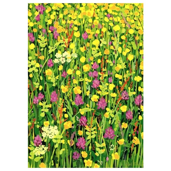 Kunstkarten - Aufklappkarte-Doppelkarte im Format 11,5 x 16,6 cm mit passendem Briefumschlag - Künstler: Gillard, Sarah - Butterblumen und Klee - Fink Verlag