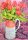 Kunstkarten - Aufklappkarte-Doppelkarte im Format 11,5 x 16,6 cm mit passendem Briefumschlag - Künstler: Thewsey, Joan - Tulpen in einem rosa-weißen Krug - Fink Verlag