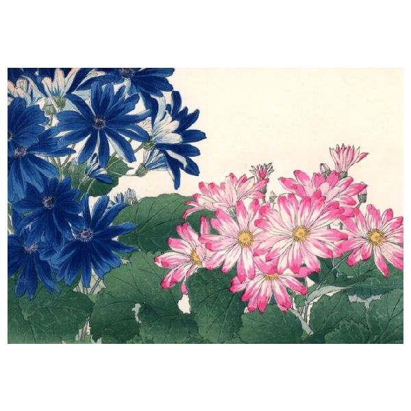 Kunstkarten - Aufklappkarte-Doppelkarte im Format 11,5 x 16,6 cm mit passendem Briefumschlag - Künstler: Tanigami, Konan - Aschenblumen - Fink Verlag