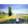 Kunstkarten - Aufklappkarte-Doppelkarte im Format 11,5 x 16,6 cm mit passendem Briefumschlag - Künstler: Monet, Claude - Der Spaziergang - Fink Verlag