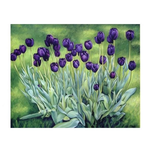 Kunstkarten - Aufklappkarte-Doppelkarte im Format 11,5 x 16,6 cm mit passendem Briefumschlag - Künstler: Breeden, Peter - Schwarze Tulpen - Fink Verlag