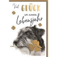 Geburtstag Glückwunschkarte mit Umschlag Hund mit...