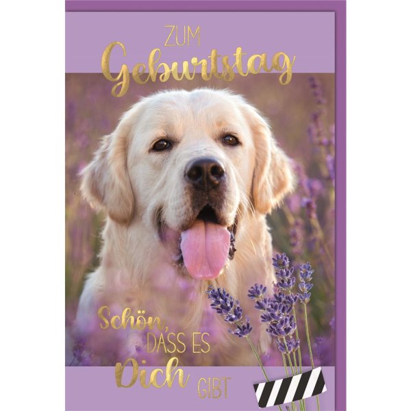 Geburtstag - Glückwunschkarte im Format 11,5 x 17 cm mit Umschlag - Hund, Lavendel - Verlag Dominique