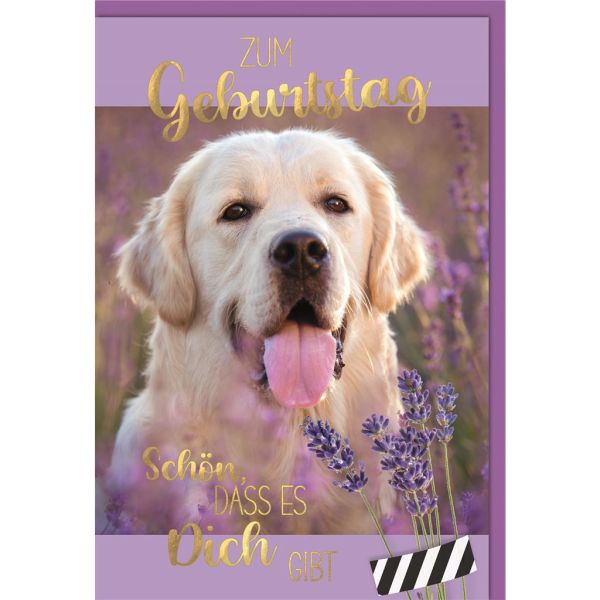 Geburtstag Glückwunschkarte mit Umschlag Hund, Lavendel