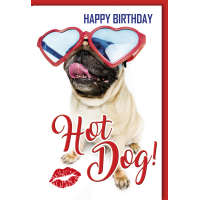 Geburtstag Glückwunschkarte mit Umschlag Hot Dog!...