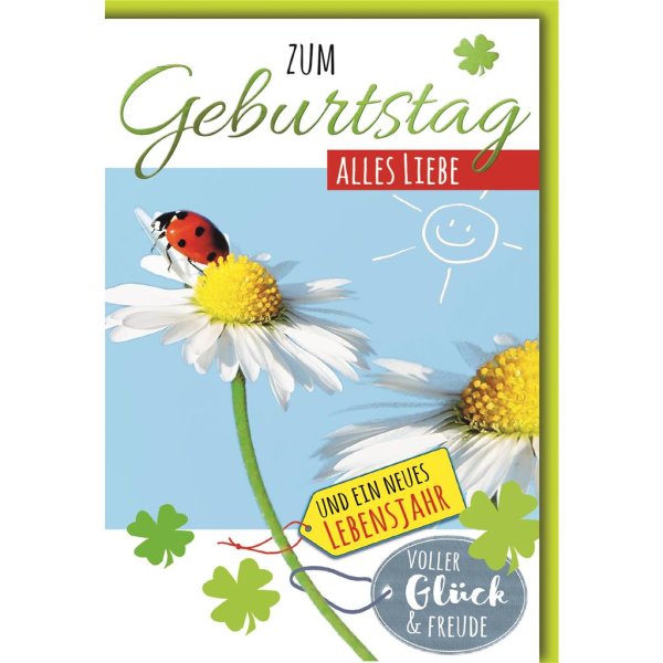 Geburtstag - Glückwunschkarte im Format 11,5 x 17 cm mit Umschlag - Gänseblümchen, Marienkäfer - Verlag Dominique