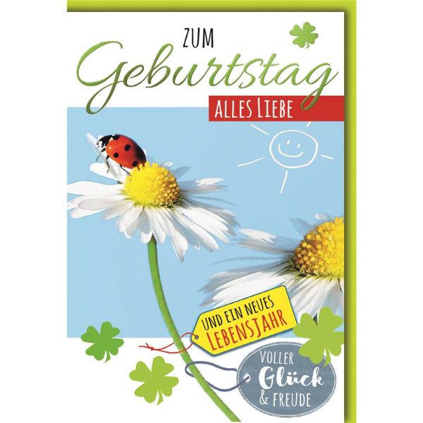Geburtstag Glückwunschkarte mit Umschlag Gänseblümchen, Marienkäfer