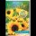 Geburtstag - Glückwunschkarte im Format 11,5 x 17 cm mit Umschlag - Sonnenblumen liegend - Verlag Dominique