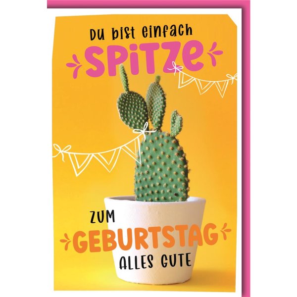 Geburtstag - Glückwunschkarte im Format 11,5 x 17 cm mit Umschlag - Du bist einfach Spitze, Kaktus - Verlag Dominique