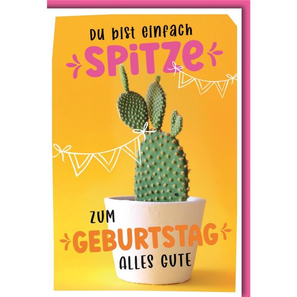 Geburtstag Glückwunschkarte mit Umschlag Du bist einfach Spitze, Kaktus