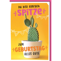Geburtstag Glückwunschkarte mit Umschlag Du bist...