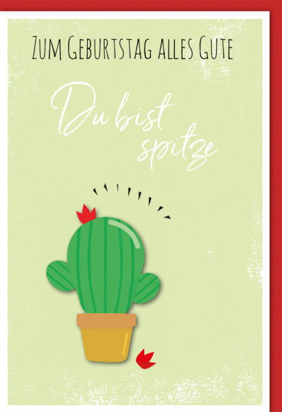 Geburtstag - Glückwunschkarte im Format 11,5 x 17 cm mit Umschlag - Du bist spitze Kaktus in Topf - Verlag Dominique
