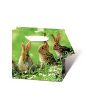 Tasche klein Hase im Gras - CD-Format - Ostern