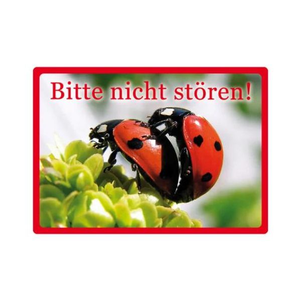 Kipis Selbsthaftende Schilder Bitte nicht stören! UVP: € 2,95