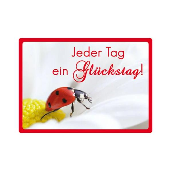 Kipis Selbsthaftende Schilder Jeder Tag ein Glückstag! UVP: € 2,95