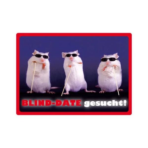 Kipis Selbsthaftende Schilder Blind Date gesucht! Blinde Maus UVP: € 2,95