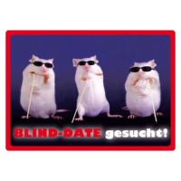 Kipis Selbsthaftende Schilder Blind Date gesucht! Blinde...