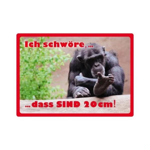 Kipis Selbsthaftende Schilder Ich schwöre... das sind 20cm UVP: € 2,95