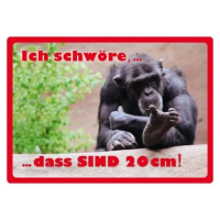 Kipis Selbsthaftende Schilder Ich schwöre... das...