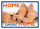 Kipis - Selbsthaftende Schilder im Format 14,8 x 10,5 cm - UVP: € 2,95