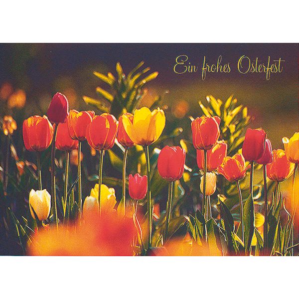 Ostern bunte Tulpen zum Osterfest Glückwunschkarte mit Briefumschlag