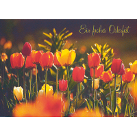 Ostern bunte Tulpen zum Osterfest Glückwunschkarte...