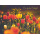 Ostern bunte Tulpen zum Osterfest Glückwunschkarte mit Briefumschlag