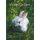 Ostern weißer Hase im Gras Glückwunschkarte mit Briefumschlag