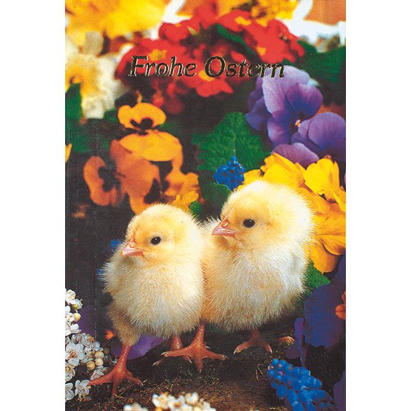 Ostern Küken bunte Blütenblätter Glückwunschkarte mit Briefumschlag