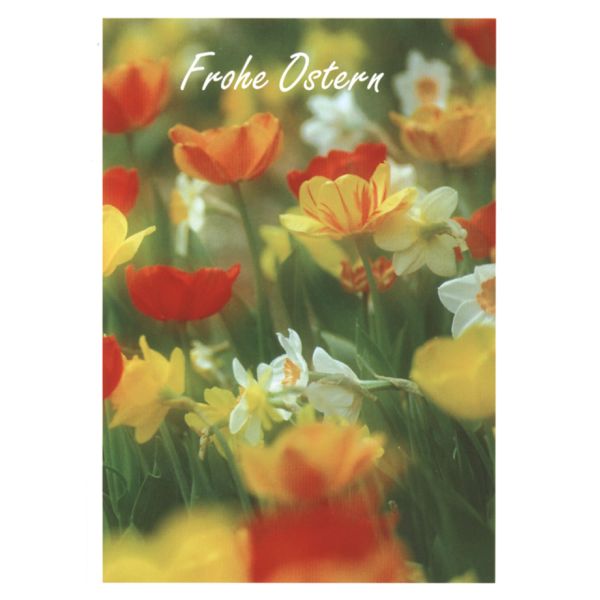 Ostern bunte Blumenwiese Glückwunschkarte mit Briefumschlag